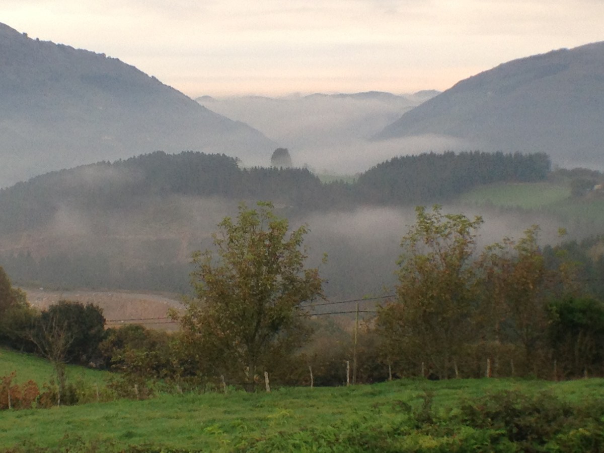 Lo que debes saber para cumplir la nueva normativa de prevención si tienes personas contratadas en&nbsp;casa.