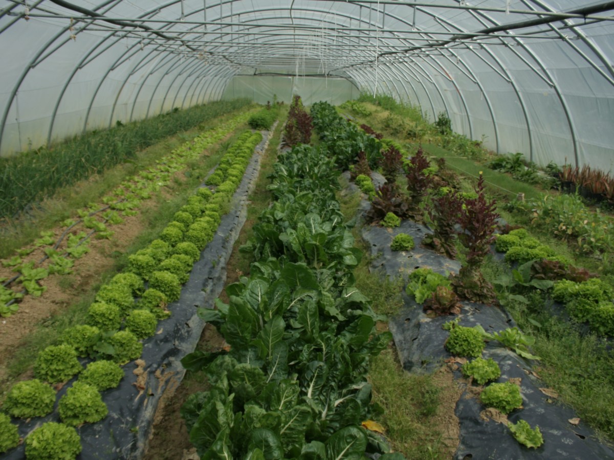 Del precipicio a la «rosquilla», la crónica de la transición hacia la Biopolis&nbsp;Cantábrica.