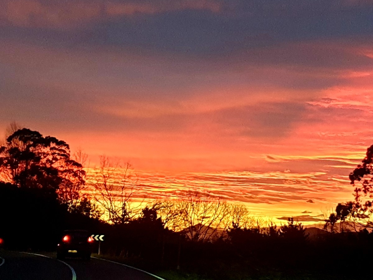 El transporte de la Biopolis Cantábrica en&nbsp;2046