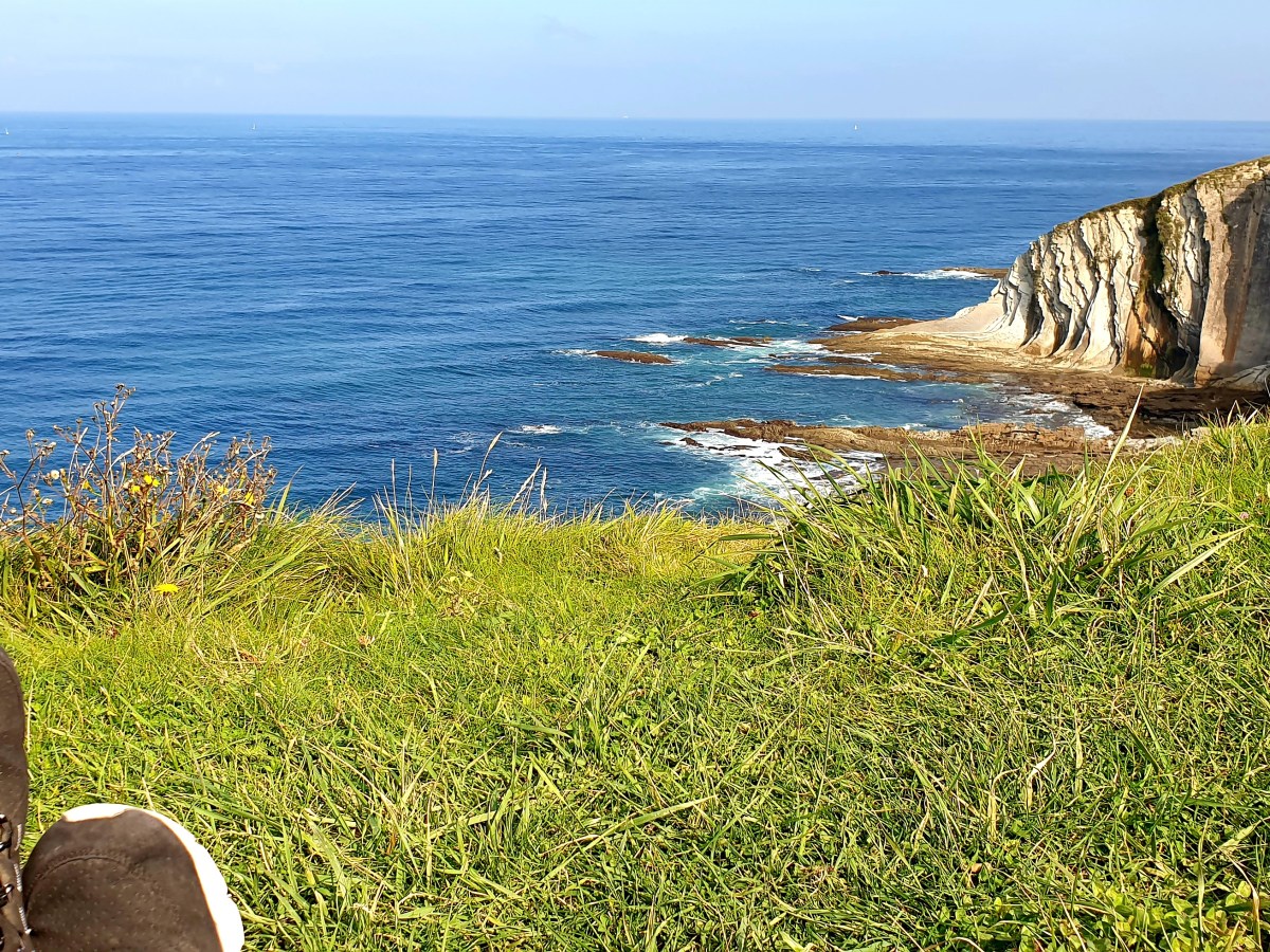 El funcionamiento del dinero en la Biopolis Cantábrica del&nbsp;2046