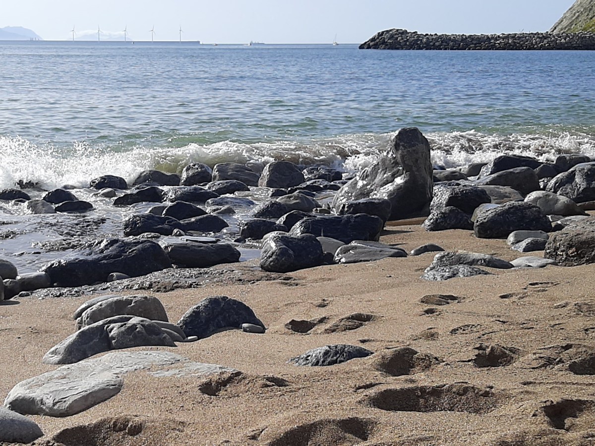 El mundo laboral en la Biopolis Cantábrica de&nbsp;2046