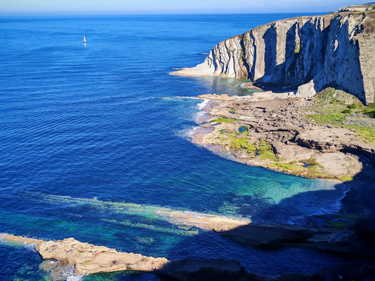 Los ejércitos y las relaciones internacionales en la Biopolis Cantábrica del&nbsp;2046